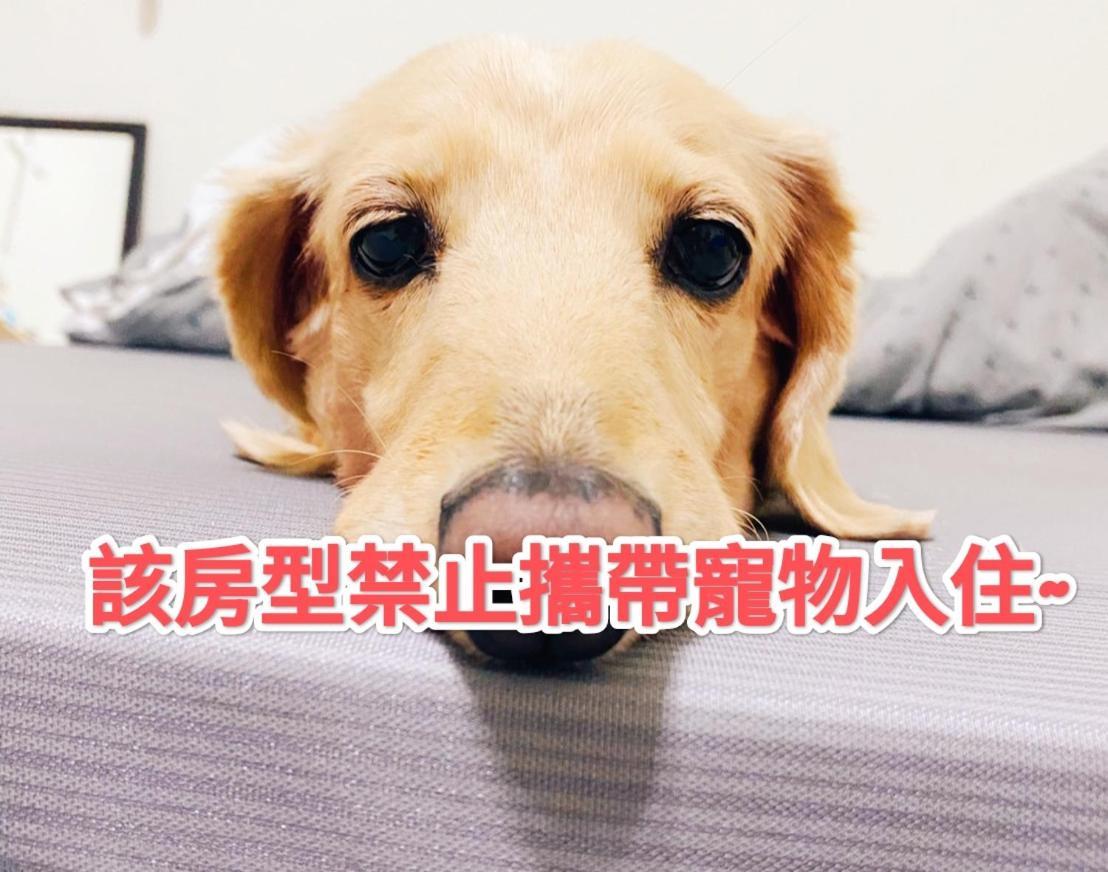 Hua Mu Lan Hotel Shalu エクステリア 写真